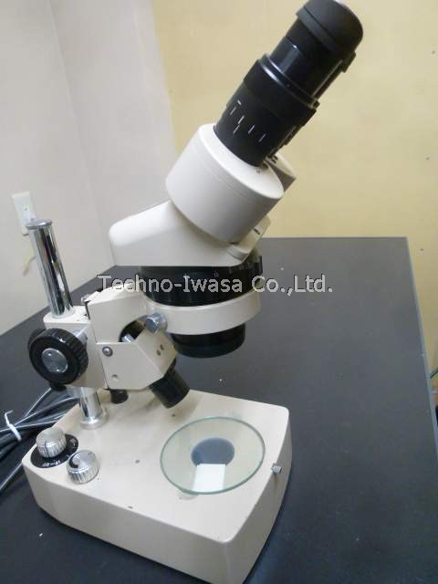 ���̌�����